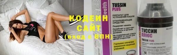 Альфа ПВП Бородино