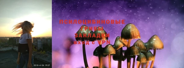 марки nbome Белокуриха