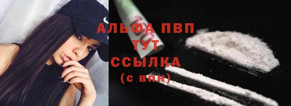 spice Богородск