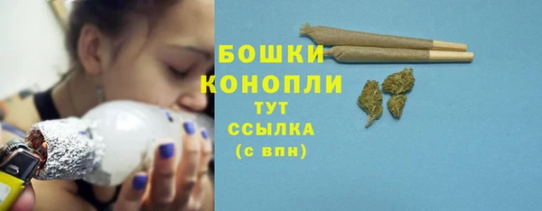spice Богородск