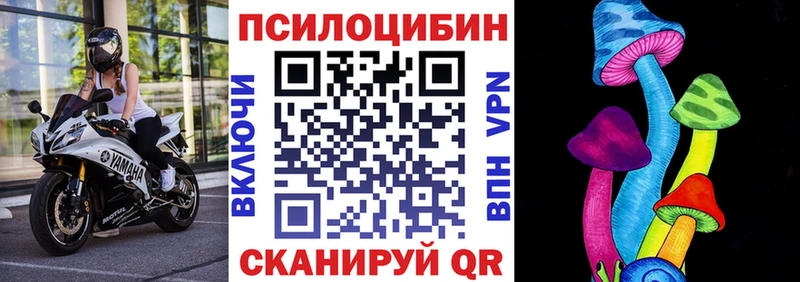 Галлюциногенные грибы Magic Shrooms Гай