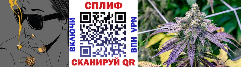 Канабис сатива  блэк спрут вход  Гай 